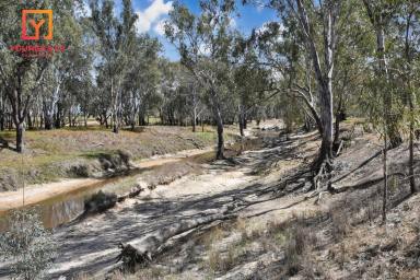 Residential Block For Sale - VIC - Kialla - 3631 - Picturesque Bushland Views - One of the Rarest Blocks in the Goulburn Valley!  (Image 2)