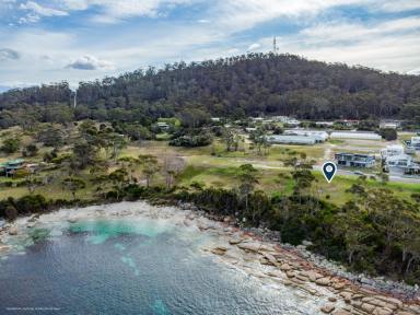 Residential Block For Sale - TAS - Bicheno - 7215 - Time To Live The Dream  (Image 2)