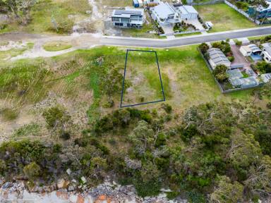 Residential Block For Sale - TAS - Bicheno - 7215 - Time To Live The Dream  (Image 2)
