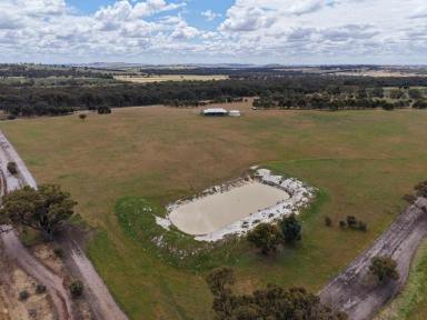 Mixed Farming For Sale - WA - Dale - 6304 - Country Comfort and Space – The Perfect Lifestyle Getaway  (Image 2)