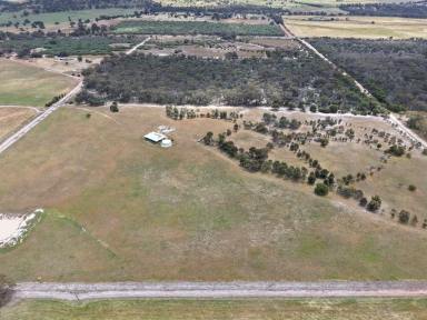 Mixed Farming For Sale - WA - Dale - 6304 - Country Comfort and Space – The Perfect Lifestyle Getaway  (Image 2)