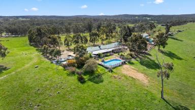 Acreage/Semi-rural For Sale - VIC - Lyal - 3444 - Stonelea Ridge – Scenic Rural Lifestyle Living  (Image 2)