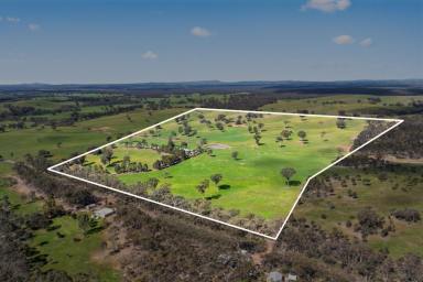 Acreage/Semi-rural For Sale - VIC - Lyal - 3444 - Stonelea Ridge – Scenic Rural Lifestyle Living  (Image 2)