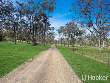 Lifestyle For Sale - NSW - Inverell - 2360 - "Hill Hollow"  (Image 2)