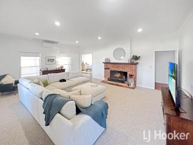 Lifestyle For Sale - NSW - Inverell - 2360 - "Hill Hollow"  (Image 2)