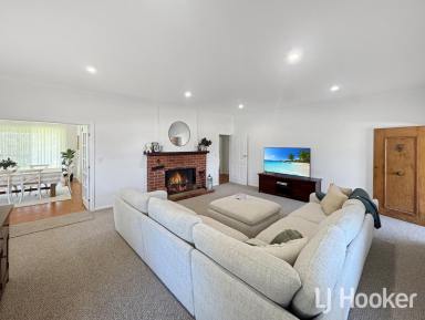 Lifestyle For Sale - NSW - Inverell - 2360 - "Hill Hollow"  (Image 2)