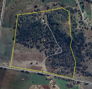 Lifestyle For Sale - NSW - Inverell - 2360 - "Hill Hollow"  (Image 2)