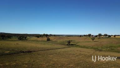 Mixed Farming For Sale - NSW - Inverell - 2360 - 'Wangina'  (Image 2)