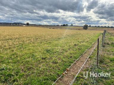 Mixed Farming For Sale - NSW - Inverell - 2360 - 'Wangina'  (Image 2)