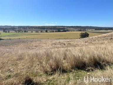 Mixed Farming For Sale - NSW - Inverell - 2360 - 'Wangina'  (Image 2)