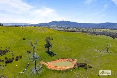 Other (Rural) For Sale - VIC - Bayindeen - 3375 - Picturesque Grazing and Lifestyle Opportunity - 360 Acres  (Image 2)