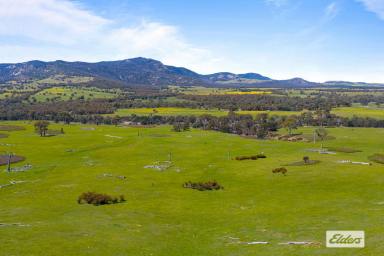 Other (Rural) For Sale - VIC - Bayindeen - 3375 - Picturesque Grazing and Lifestyle Opportunity - 360 Acres  (Image 2)