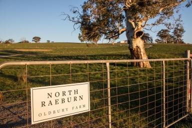 Mixed Farming For Sale - NSW - Goulburn - 2580 - Large-Scale Mixed Farming and Beef Production Platform  (Image 2)