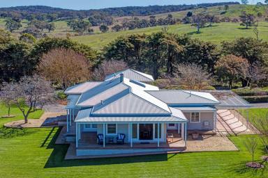 Mixed Farming For Sale - NSW - Goulburn - 2580 - Large-Scale Mixed Farming and Beef Production Platform  (Image 2)