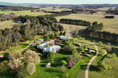 Mixed Farming For Sale - NSW - Lake Bathurst - 2580 - Prestigious Landbank with Historic Homestead and Private Lake – 4,330* acres  (Image 2)