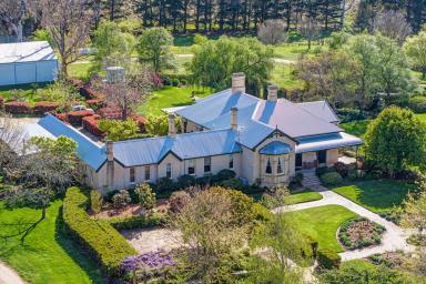 Mixed Farming For Sale - NSW - Lake Bathurst - 2580 - Prestigious Landbank with Historic Homestead and Private Lake – 4,330* acres  (Image 2)