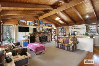 Acreage/Semi-rural For Sale - VIC - Myrtle Creek - 3551 - LOG CABIN ON 97 ACRES  (Image 2)