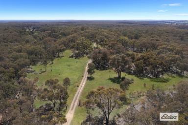 Acreage/Semi-rural For Sale - VIC - Myrtle Creek - 3551 - CUTE LITTLE LOG CABIN ON 97 ACRES (Image 2)
