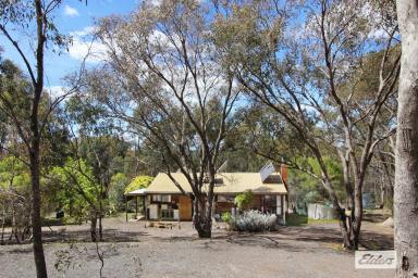 Acreage/Semi-rural For Sale - VIC - Myrtle Creek - 3551 - CUTE LITTLE LOG CABIN ON 97 ACRES (Image 2)