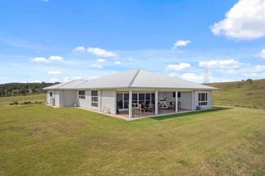 Livestock For Sale - QLD - Lower Wonga - 4570 - STUD COMPLEX  (Image 2)