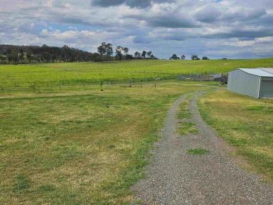 Livestock For Sale - QLD - Lower Wonga - 4570 - STUD COMPLEX  (Image 2)