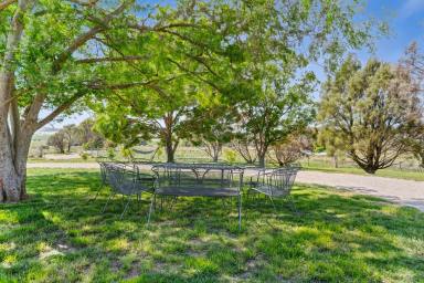 Other (Rural) Auction - NSW - Parkesbourne - 2580 - "Private Rural Haven" in the perfect location of Parkesbourne  (Image 2)