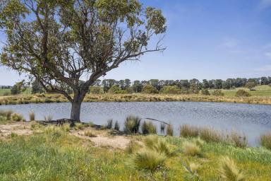 Other (Rural) Auction - NSW - Parkesbourne - 2580 - "Private Rural Haven" in the perfect location of Parkesbourne  (Image 2)