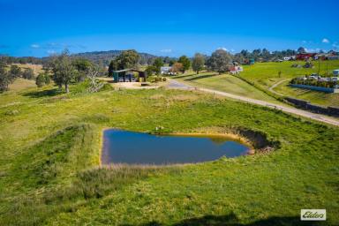 Acreage/Semi-rural Auction - NSW - Bega - 2550 - RARE INDUSTRIAL OPPORTUNITY ON THE EDGE OF BEGA  (Image 2)