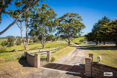 Acreage/Semi-rural Auction - NSW - Bega - 2550 - RARE INDUSTRIAL OPPORTUNITY ON THE EDGE OF BEGA  (Image 2)