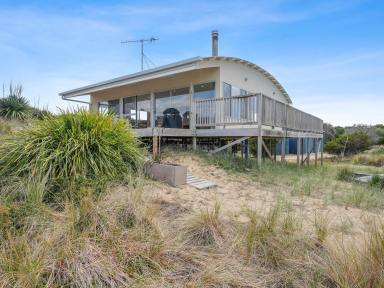 House For Sale - TAS - Dolphin Sands - 7190 - Coastal Acreage (Image 2)
