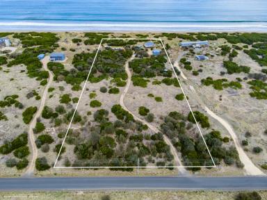 House For Sale - TAS - Dolphin Sands - 7190 - Coastal Acreage  (Image 2)