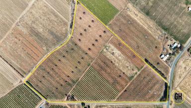Horticulture For Sale - VIC - Tresco - 3583 - Irrigated Horticulture Property – 9.3ha with Established Peaches  (Image 2)