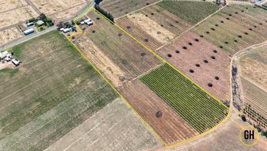 Horticulture For Sale - VIC - Tresco - 3583 - Irrigated Lifestyle or Horticulture Property – 4.423ha with Sheds, Water Infrastructure & Vineyard  (Image 2)