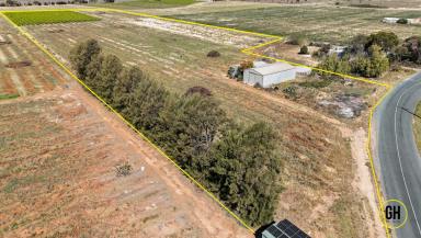 Horticulture For Sale - VIC - Tresco - 3583 - Irrigated Lifestyle or Horticulture Property – 4.423ha with Sheds, Water Infrastructure & Vineyard (Image 2)
