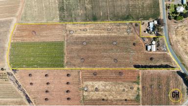 Horticulture For Sale - VIC - Tresco - 3583 - Irrigated Lifestyle or Horticulture Property – 4.423ha with Sheds, Water Infrastructure & Vineyard (Image 2)