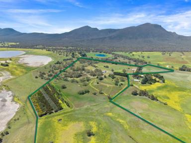 Lifestyle Auction - VIC - Victoria Valley - 3294 - ‘Seber Rises’ - A Rare Grampians Retreat  (Image 2)