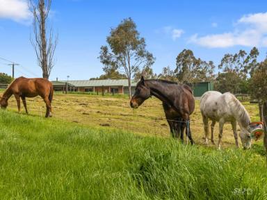 Acreage/Semi-rural For Sale - VIC - Korumburra - 3950 - Lifestyle Gem on the edge of town!  (Image 2)