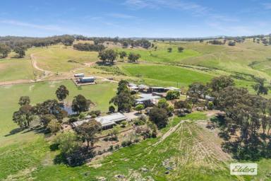 House For Sale - VIC - Yapeen - 3451 - Lifestyle, Grazing, Agriculture & Nature, Large Scale Farming or Smaller Lot Sizes Available - 380.4 Ha / 940 Ac (Image 2)