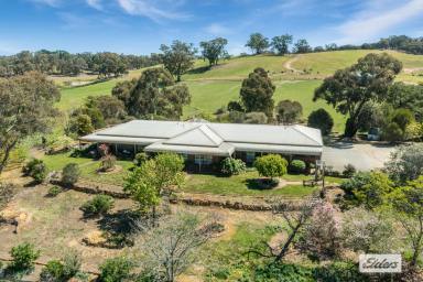 House For Sale - VIC - Yapeen - 3451 - Lifestyle, Grazing, Agriculture & Nature, Large Scale Farming or Smaller Lot Sizes Available - 380.4 Ha / 940 Ac  (Image 2)