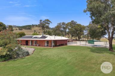 Mixed Farming Auction - NSW - Attunga - 2345 - Wide open spaces!  (Image 2)