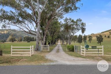 Mixed Farming Auction - NSW - Attunga - 2345 - Wide open spaces!  (Image 2)