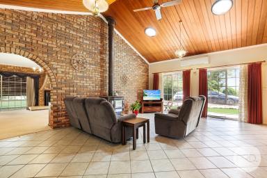 Mixed Farming For Sale - NSW - Attunga - 2345 - Wide open spaces!  (Image 2)