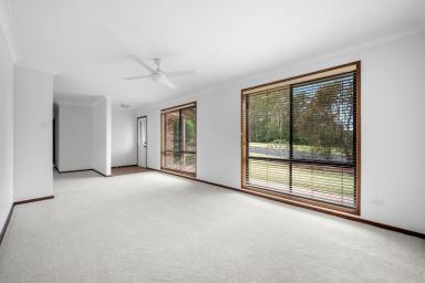 House For Sale - NSW - Cambewarra Village - 2540 - Bright, Fresh and Move-in Ready  (Image 2)