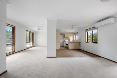 House For Sale - NSW - Cambewarra Village - 2540 - Bright, Fresh and Move-in Ready  (Image 2)
