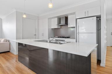 House For Lease - NSW - Raymond Terrace - 2324 - STYLISH 4 BEDROOM HOME!!  (Image 2)