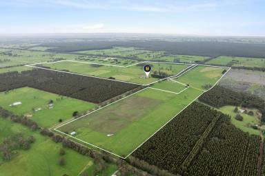 Dairy For Sale - VIC - Carpendeit - 3260 - FIRST CLASS COLAC - COBDEN DISTRICT PROPERTY  (Image 2)