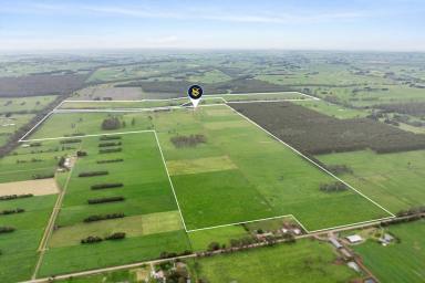 Dairy For Sale - VIC - Carpendeit - 3260 - FIRST CLASS COLAC - COBDEN DISTRICT PROPERTY  (Image 2)