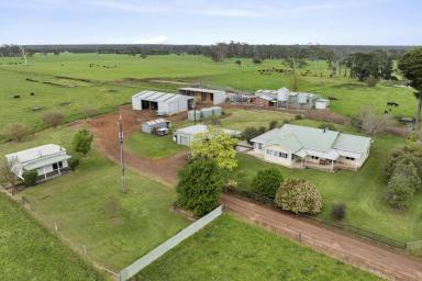 Dairy For Sale - VIC - Carpendeit - 3260 - FIRST CLASS COLAC - COBDEN DISTRICT PROPERTY  (Image 2)