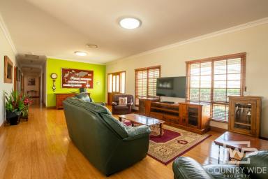 House For Sale - NSW - Glen Innes - 2370 - Successful Short-Stay Investment or Spacious Family Home  (Image 2)