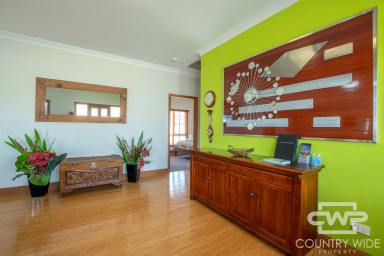 House For Sale - NSW - Glen Innes - 2370 - Successful Short-Stay Investment or Spacious Family Home  (Image 2)